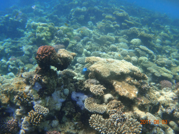 photo 154317