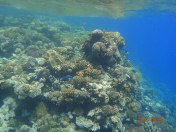 photo 154327