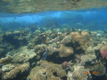 photo 154334