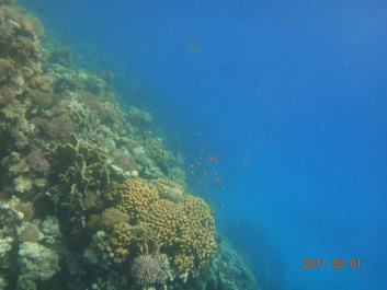 photo 154336