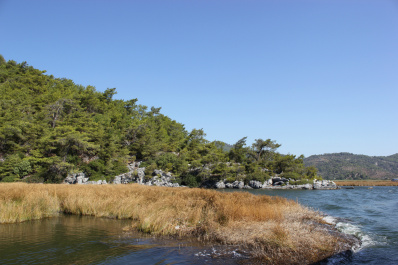 photo 146761