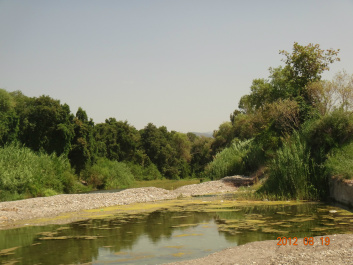 photo 147112
