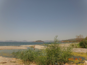 photo 147113