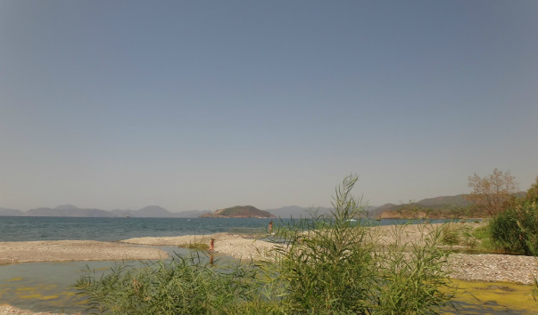 DSC07483