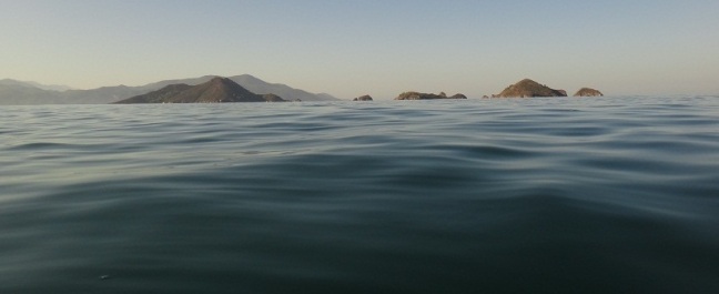 photo 154645