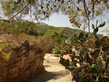 photo 154647
