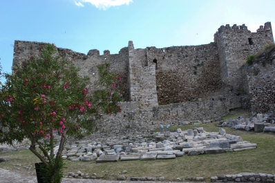 photo 769192