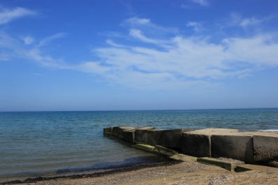 photo 774617