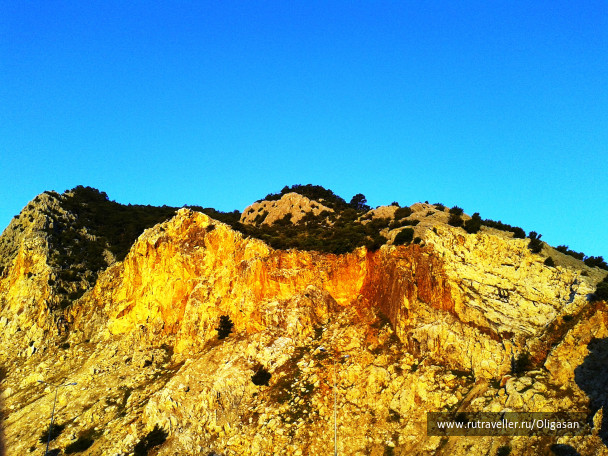 photo 97988