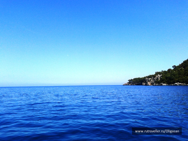photo 97991
