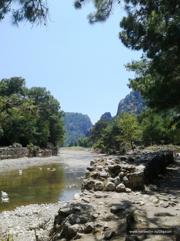 photo 97992