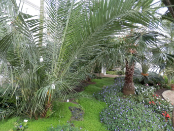 photo 469612