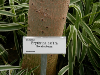photo 469613