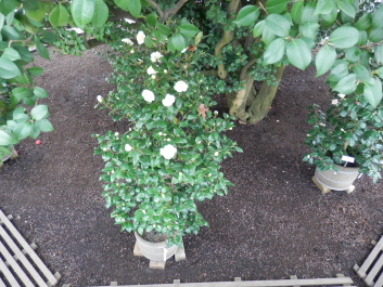 photo 469617