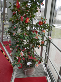 photo 469618
