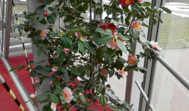 P4010261