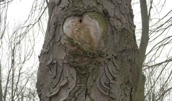 P4010526