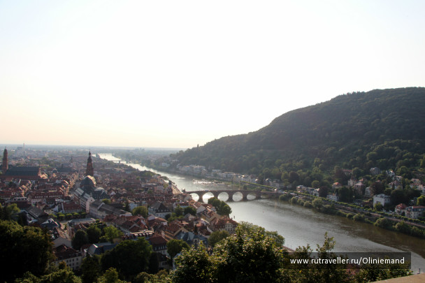 photo 474580