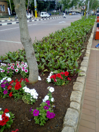 photo 1293679
