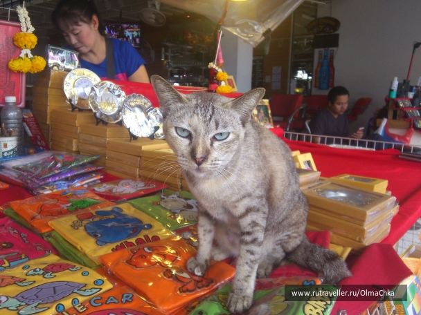 photo 736732