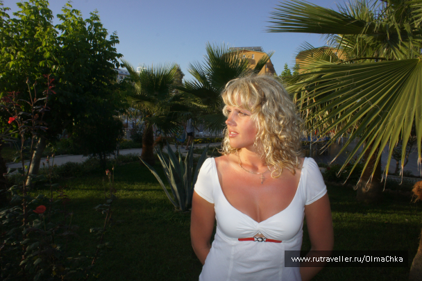 photo 729413
