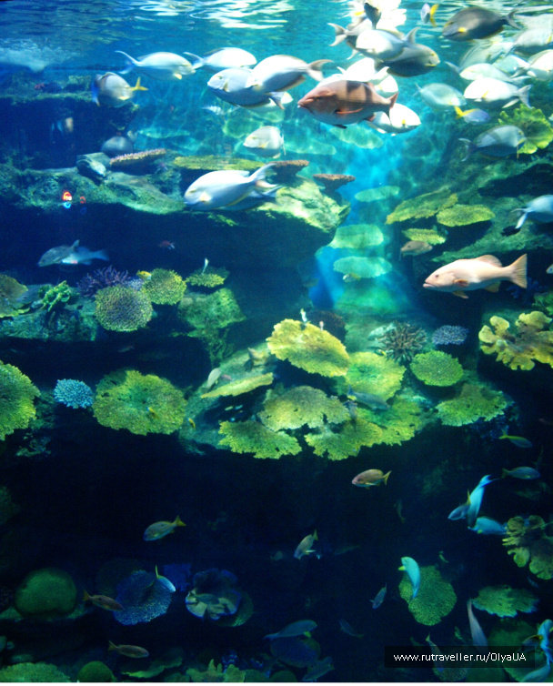 photo 503584