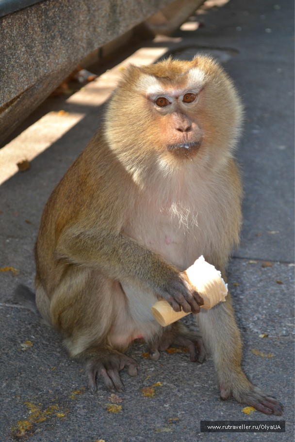 photo 679042