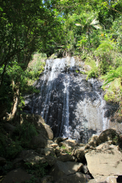 photo 994002