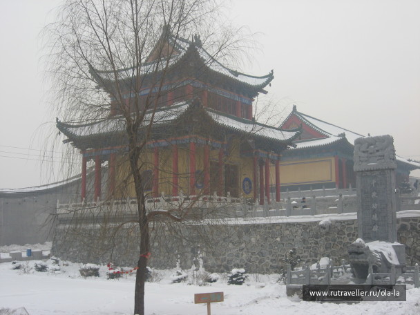 photo 8763