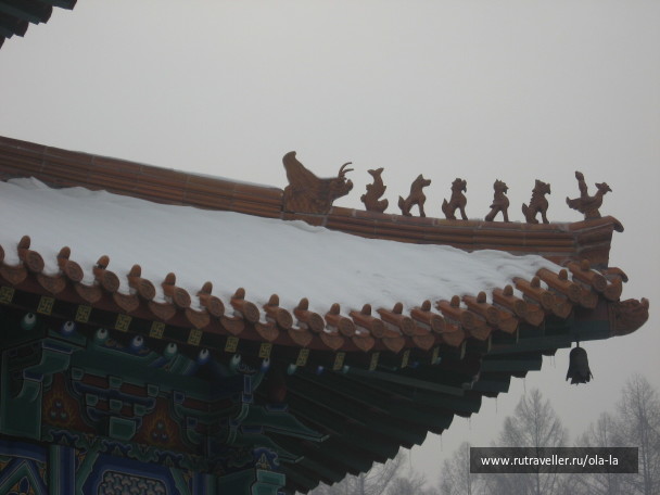 photo 8767