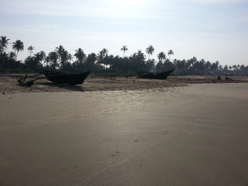 photo 1345855