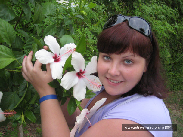 photo 144069
