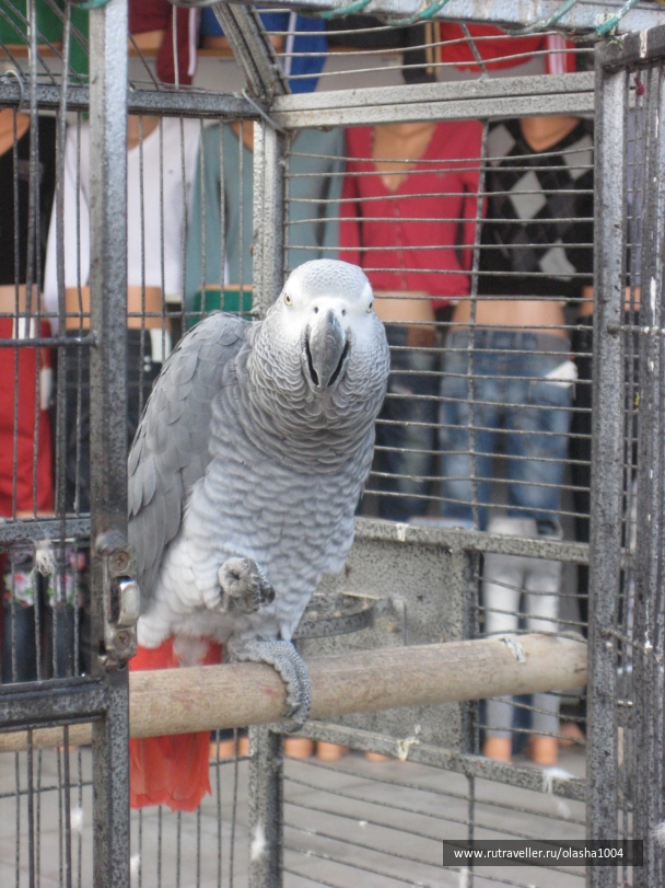photo 144066