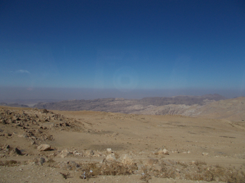 photo 1877868