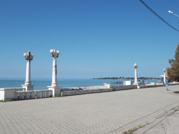 photo 1876934