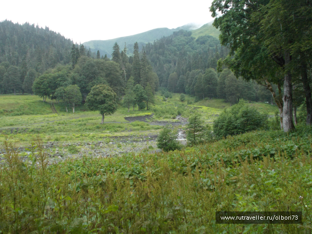 photo 1879467