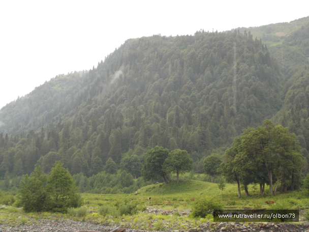 photo 1879469