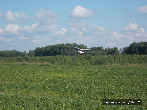 photo 2092588