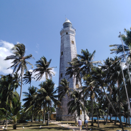 photo 1877530