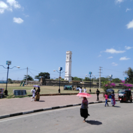 photo 1878168