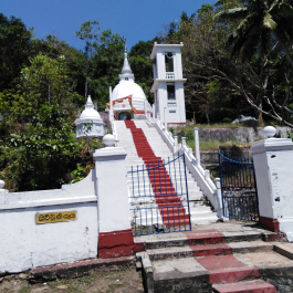 photo 1878171