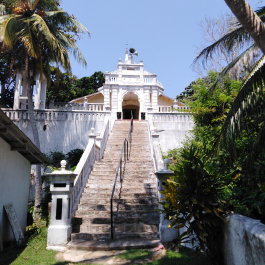 photo 1878194