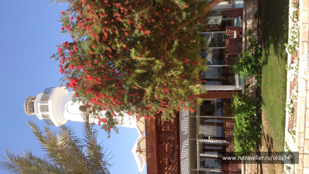 photo 559485