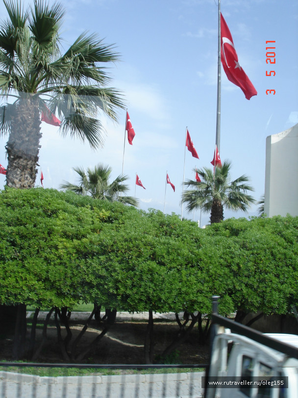 photo 609821