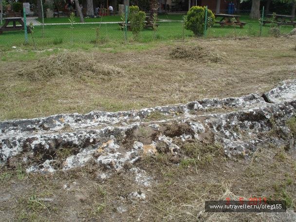 photo 609839
