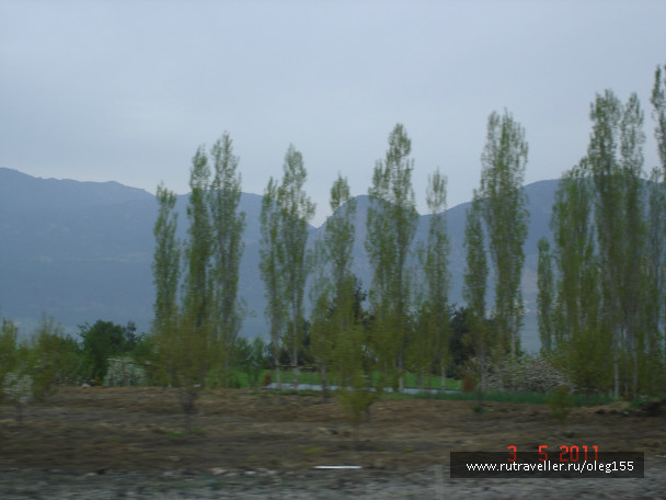 photo 609858