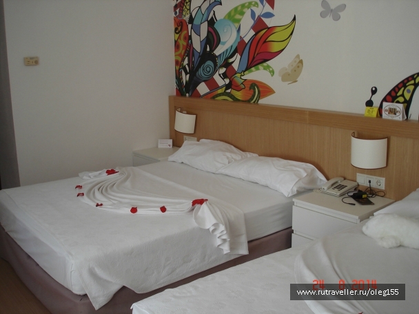 photo 867615