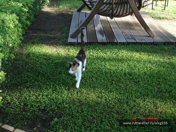 photo 867636