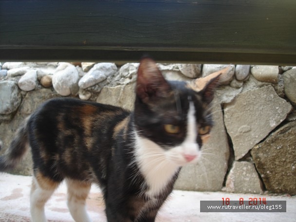 photo 867652