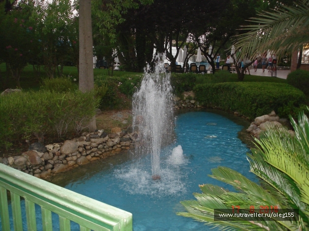 photo 867656